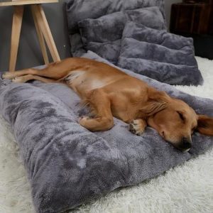 睡觉的时候让狗干了(狗睡觉的时候死了)-警犬训练器材厂家 _警犬训练用品_工作犬训练用品-南京开久警犬装备