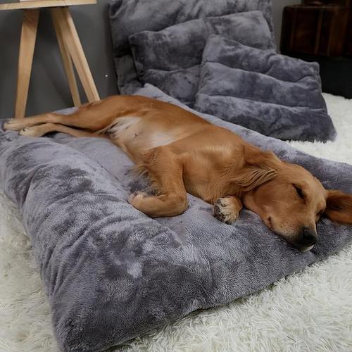 睡觉的时候让狗干了(狗睡觉的时候死了) - 警犬训练器材厂家 _警犬训练用品_工作犬训练用品-南京开久警犬装备-警犬训练器材厂家 _警犬训练用品_工作犬训练用品-南京开久警犬装备