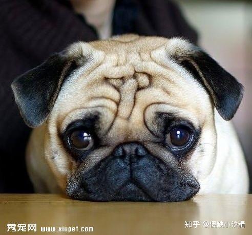 20221119203107_58432 20221119203107_58432