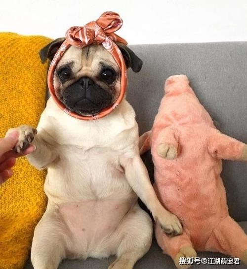 20221119203108_31336 20221119203108_31336