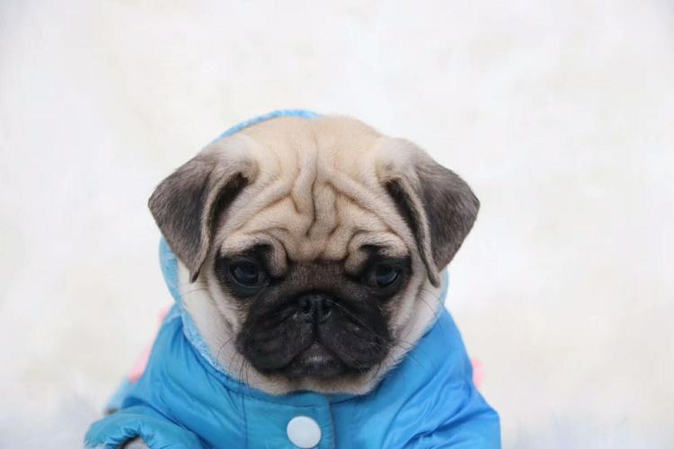 20221119203108_91940 20221119203108_91940