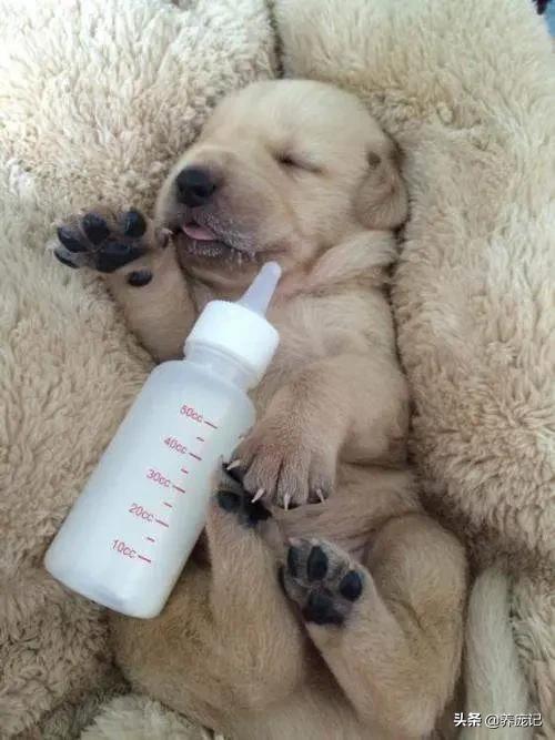 20221119203208_67270 20221119203208_67270