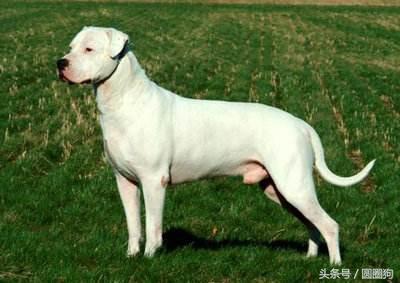 20221120083710_41981 20221120083710_41981