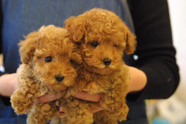 20221120084008_51637