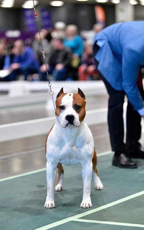 20221120084332_87510 20221120084332_87510