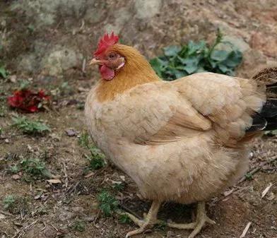 20221120085708_40653