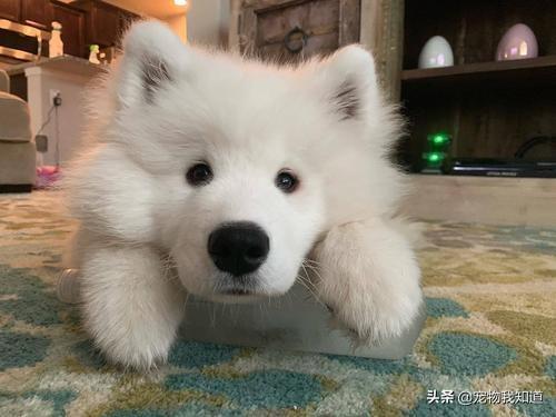 20221120090904_78266 20221120090904_78266