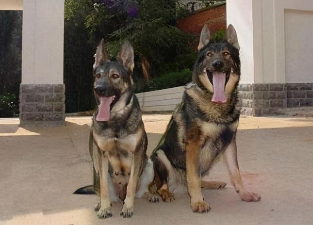 20221120093524_41930 20221120093524_41930