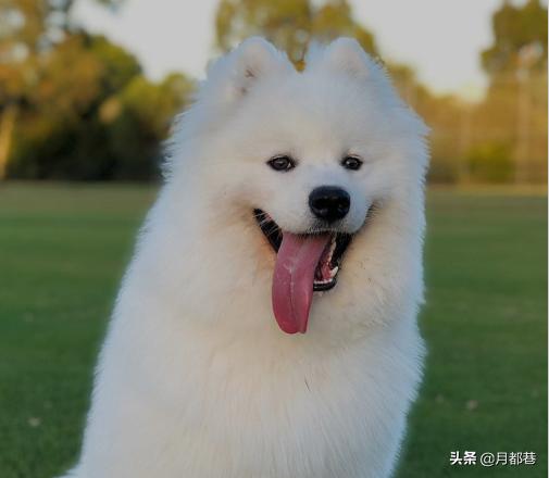 20221120094227_18465