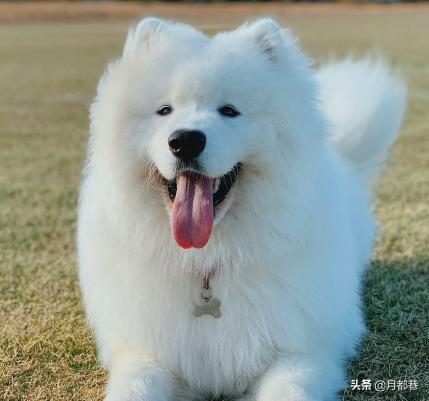 20221120094227_79476