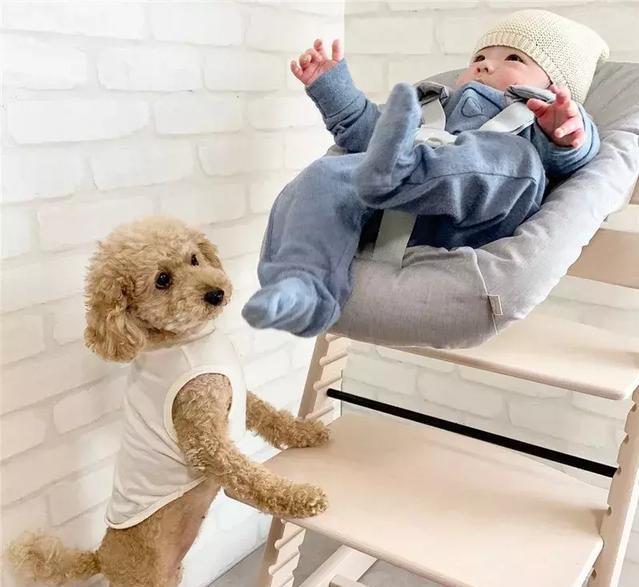 20221120095019_27370 20221120095019_27370