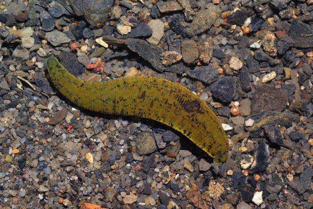 20221120100320_34822