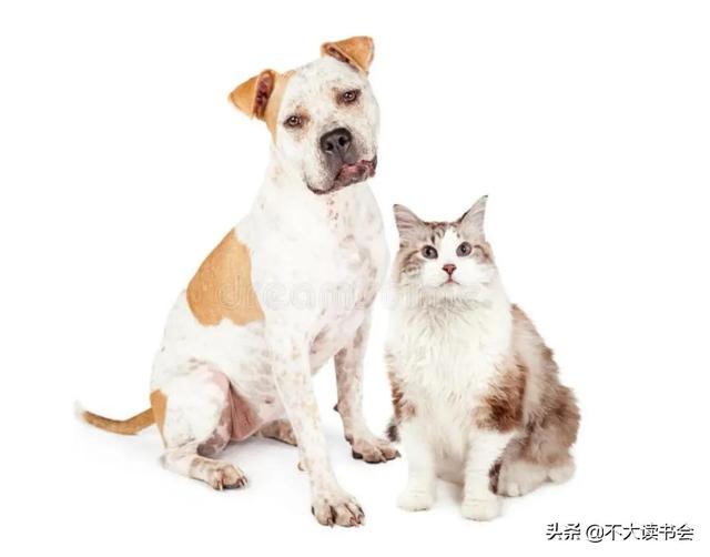 20221120102927_23977 20221120102927_23977