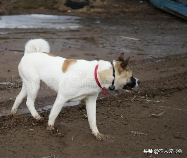 20221120102928_22972 20221120102928_22972