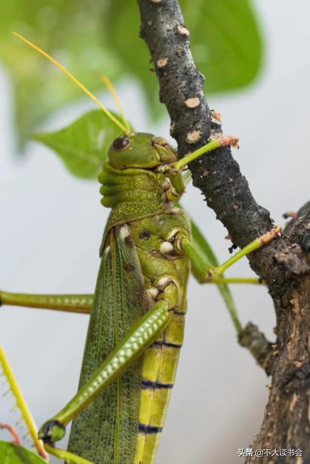 20221120102928_52908 20221120102928_52908