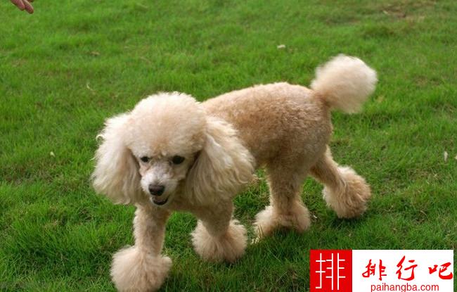 20221120103931_91138 20221120103931_91138