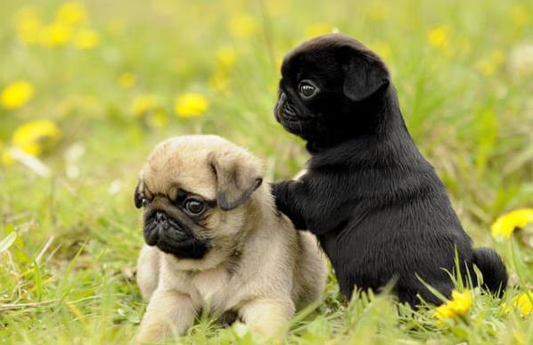 20221120105555_37041 20221120105555_37041