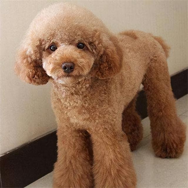 20221120105856_37816 20221120105856_37816