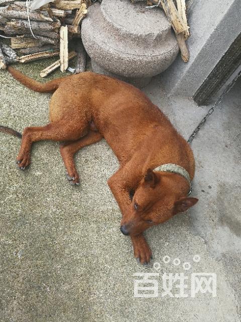 20221120112725_24899