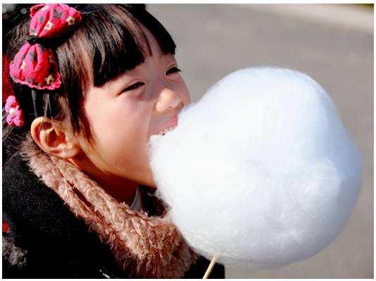 蜡笔小新家的狗叫什么？蜡笔小新家的狗叫什么名字 - 警犬训练器材厂家 _警犬训练用品_工作犬训练用品-南京开久警犬装备-警犬训练器材厂家 _警犬训练用品_工作犬训练用品-南京开久警犬装备