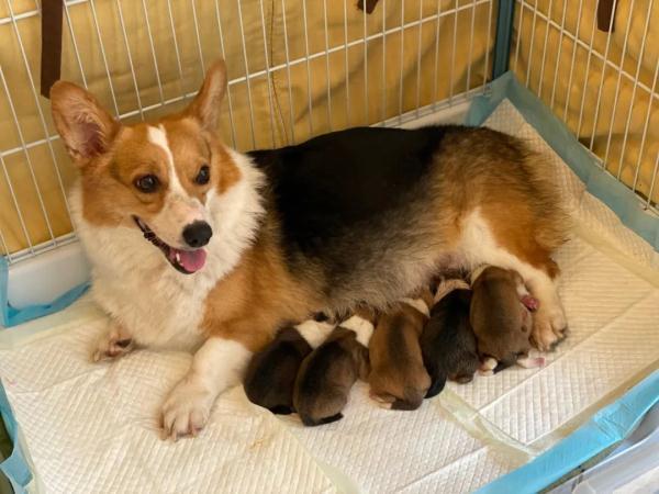 20221120115628_12752 20221120115628_12752