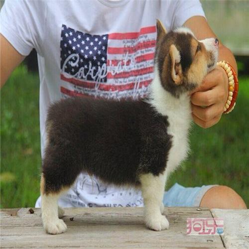 20221120115628_92054 20221120115628_92054