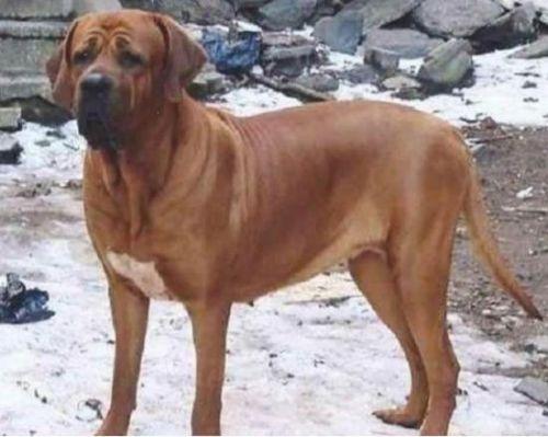 20221120121600_19408