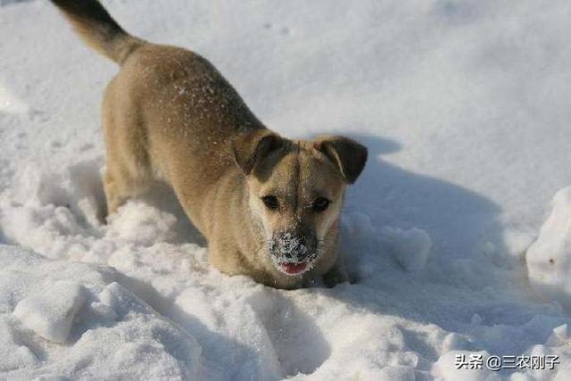 20221120122157_78699