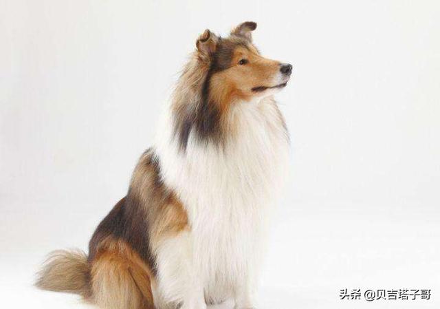 20221120122259_91445