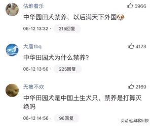 全国禁养犬名单(南京禁养犬名单)-警犬训练器材厂家 _警犬训练用品_工作犬训练用品-南京开久警犬装备