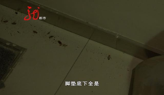 外面半夜狗叫个不停预兆 半夜外面狗叫个不停怎么回事 - 警犬训练器材厂家 _警犬训练用品_工作犬训练用品-南京开久警犬装备-警犬训练器材厂家 _警犬训练用品_工作犬训练用品-南京开久警犬装备