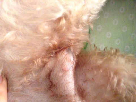 20221120125737_66993 20221120125737_66993