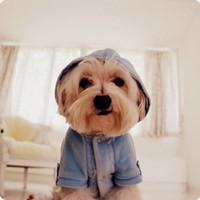 狗狗个性名字(狗狗取名字大全)-警犬训练器材厂家 _警犬训练用品_工作犬训练用品-南京开久警犬装备