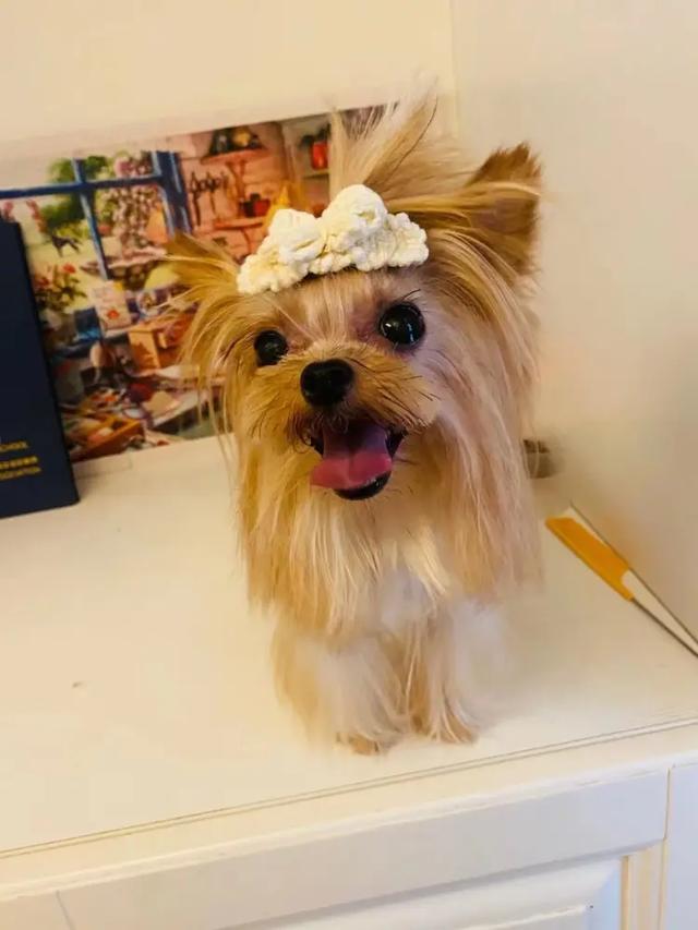 20221120135253_89322