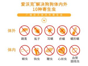 爱沃克犬用(爱沃克犬用价格)-警犬训练器材厂家 _警犬训练用品_工作犬训练用品-南京开久警犬装备