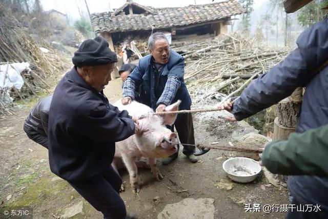 当孩子知道狗狗离世后_狗狗会知道自己的孩子吗 - 警犬训练器材厂家 _警犬训练用品_工作犬训练用品-南京开久警犬装备-警犬训练器材厂家 _警犬训练用品_工作犬训练用品-南京开久警犬装备