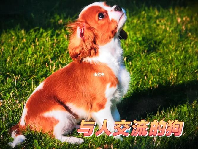 20221120141404_87311