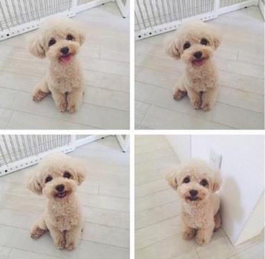 20221120142120_67056