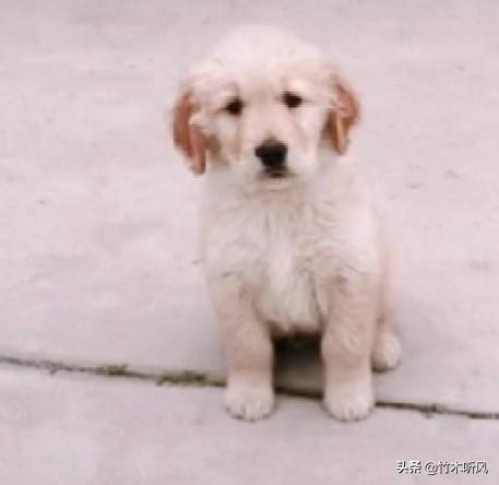 20221120143530_59391 20221120143530_59391