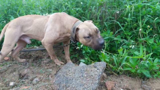 20221120151327_58491