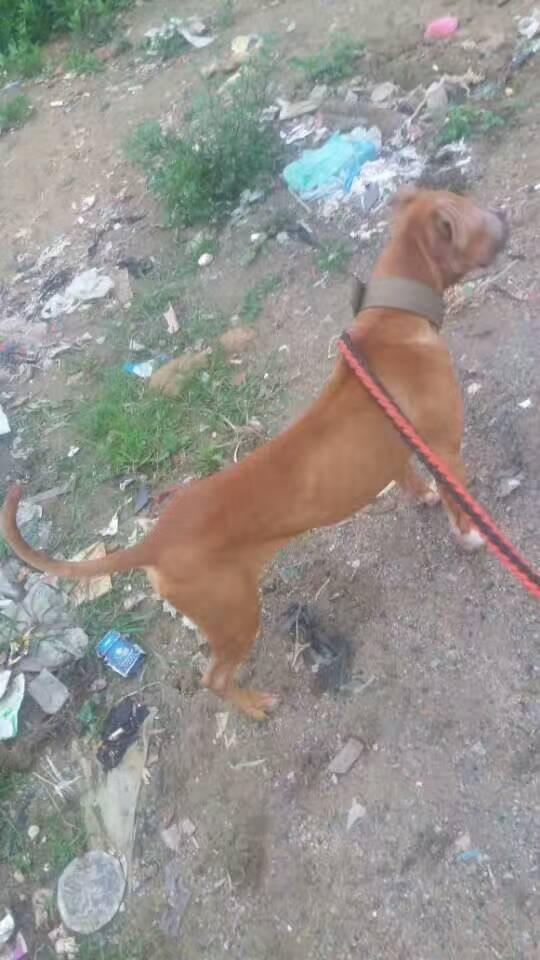 20221120151327_88561