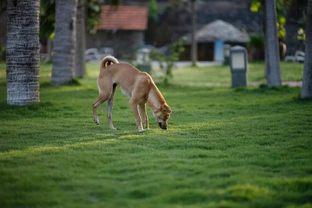 20221120151613_81931 20221120151613_81931