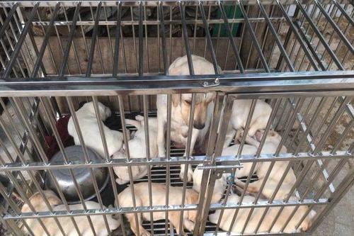 20221120153438_74837 20221120153438_74837