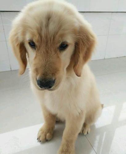 20221120153438_87020 20221120153438_87020