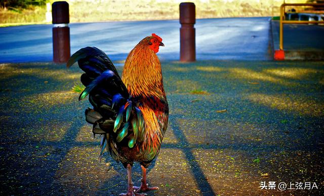 20221120154051_25323