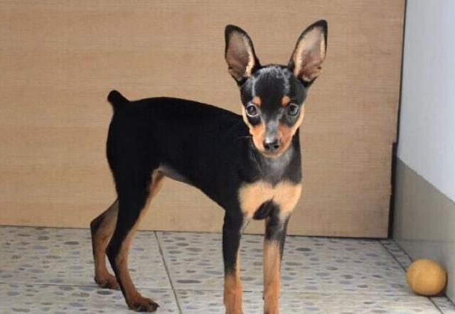 20221120155916_18038