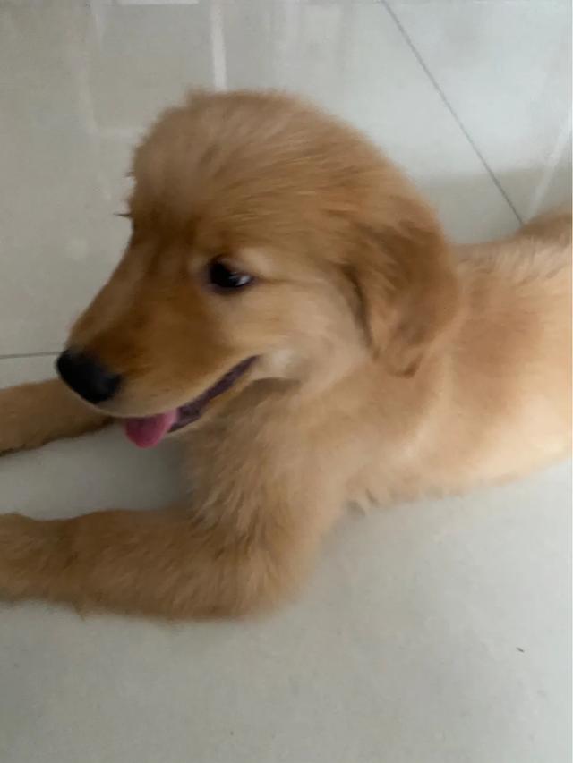 20221120160652_93827