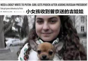 *** 外交带狗( *** 外交带狗是什么时候)-警犬训练器材厂家 _警犬训练用品_工作犬训练用品-南京开久警犬装备