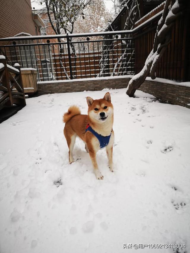 20221120170028_52315 20221120170028_52315