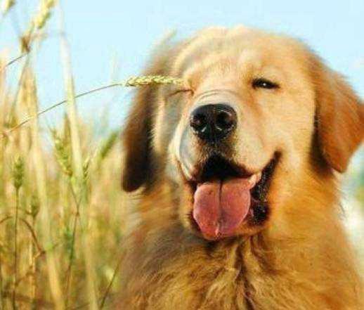 20221120171254_39147